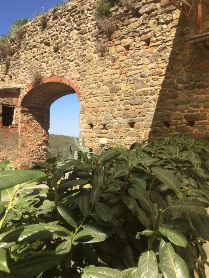 Mansarda Degli Ulivi Lägenhet Rigomagno Exteriör bild